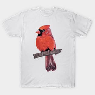 Fluffy Northern Cardinal on a branch painting T-Shirt